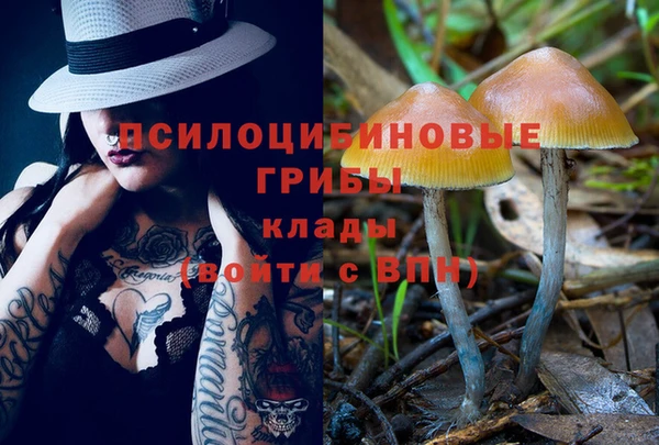 мет Аркадак